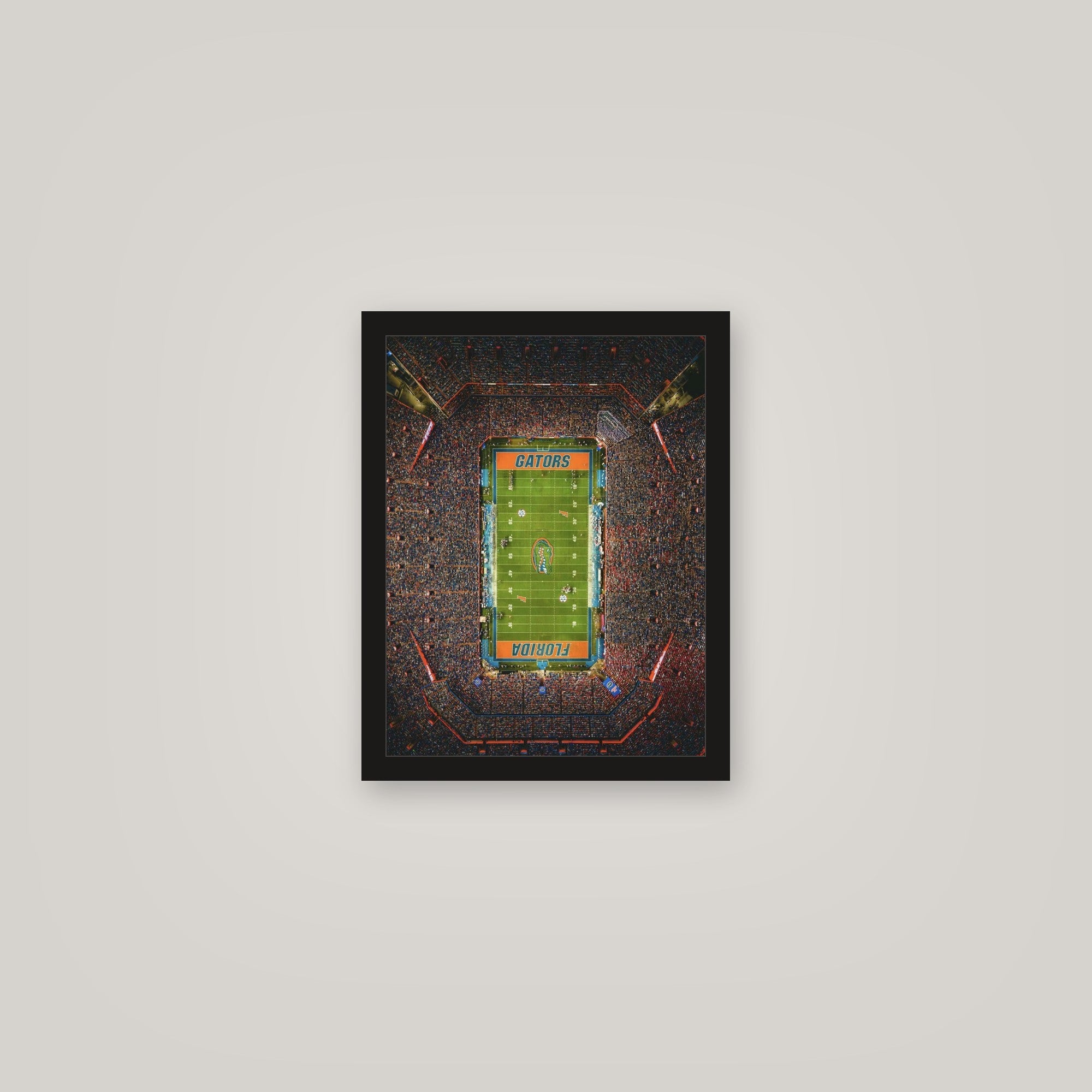 [auto-mockup] ELECTRIC STADIUM POSTER - 11 x 14in