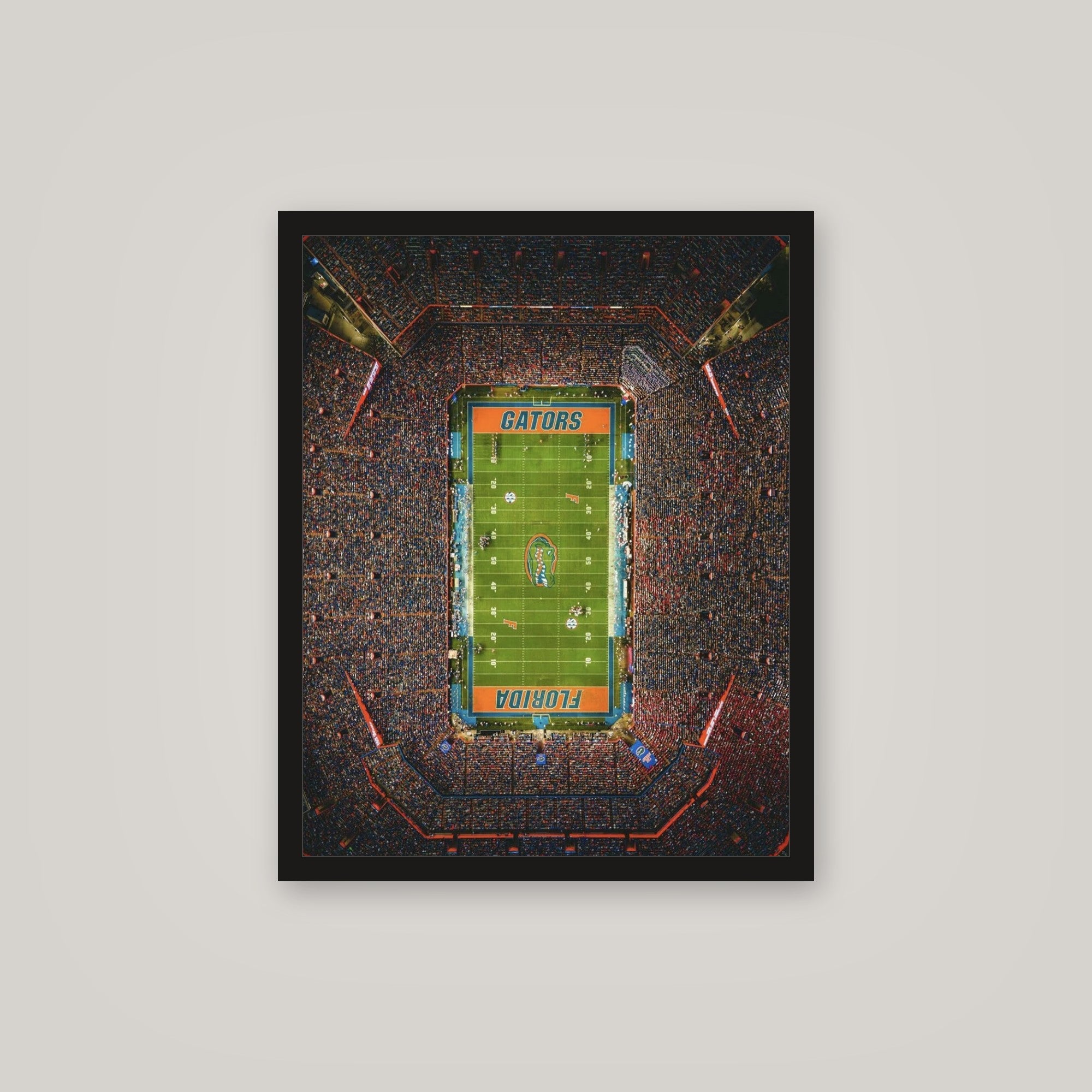 [auto-mockup] ELECTRIC STADIUM POSTER - 16 x 20in.