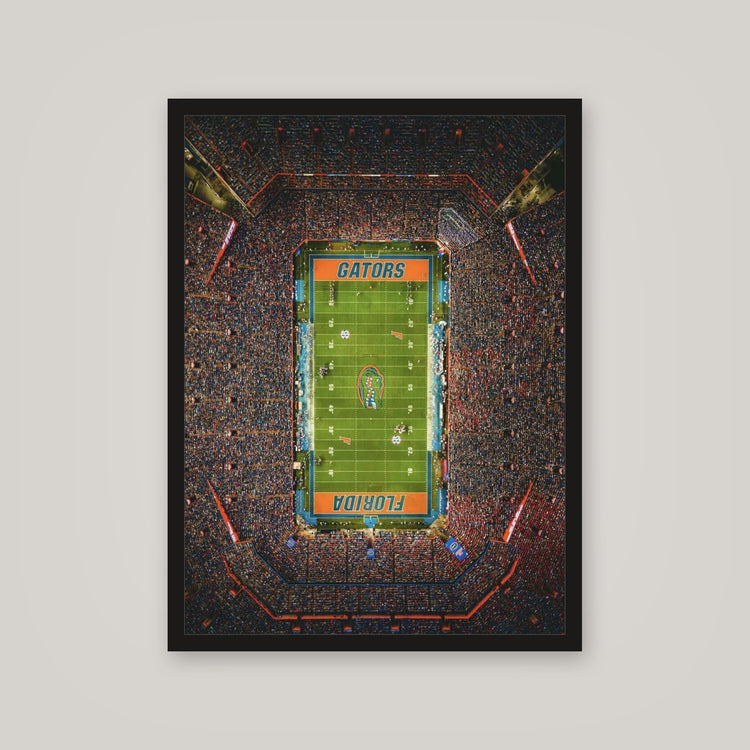 [auto-mockup] ELECTRIC STADIUM POSTER - 18 x 24in.