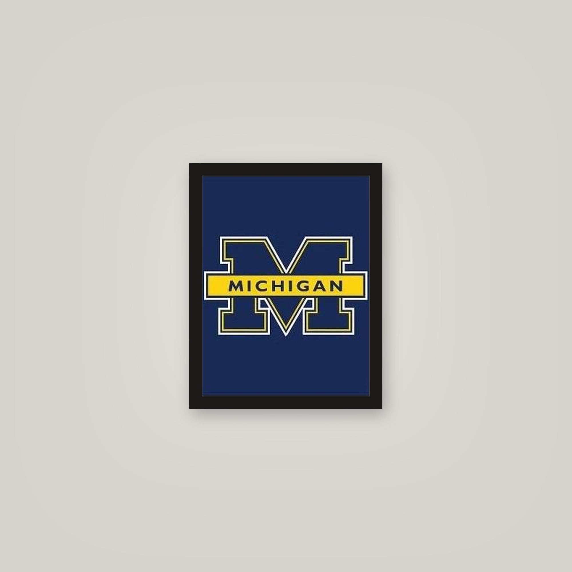[auto-mockup] HAIL POSTER - 11 x 14in.