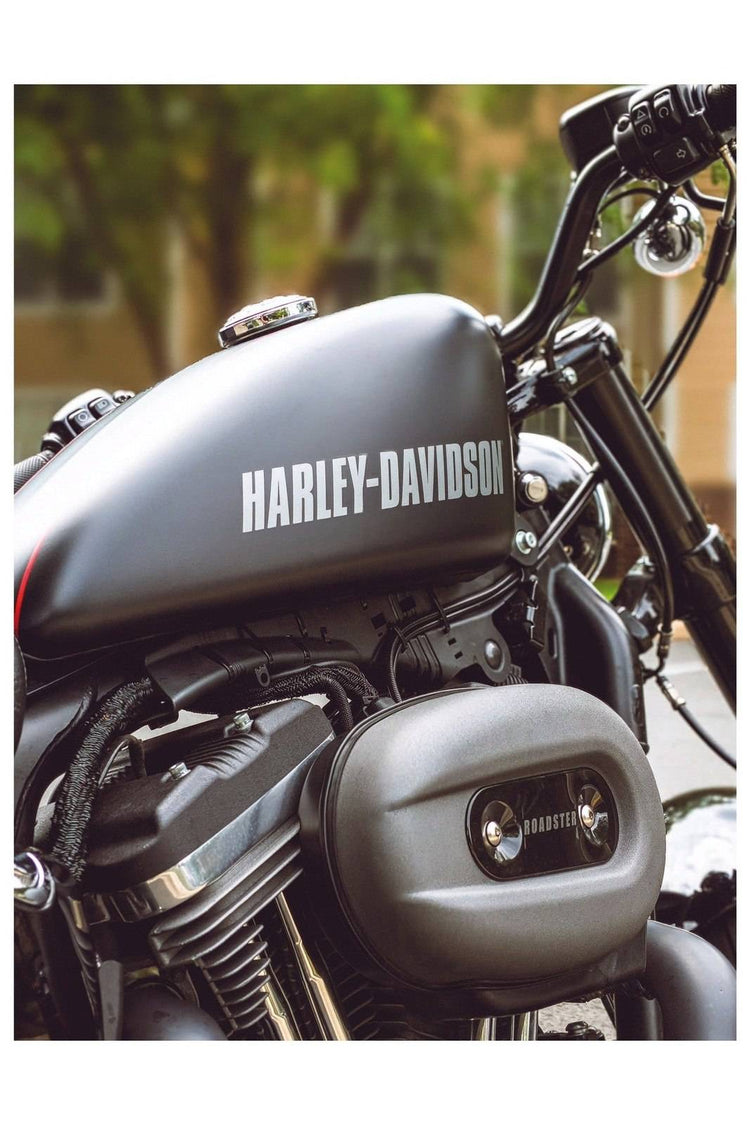 HARLEY ROADSTER POSTER - PosterFi