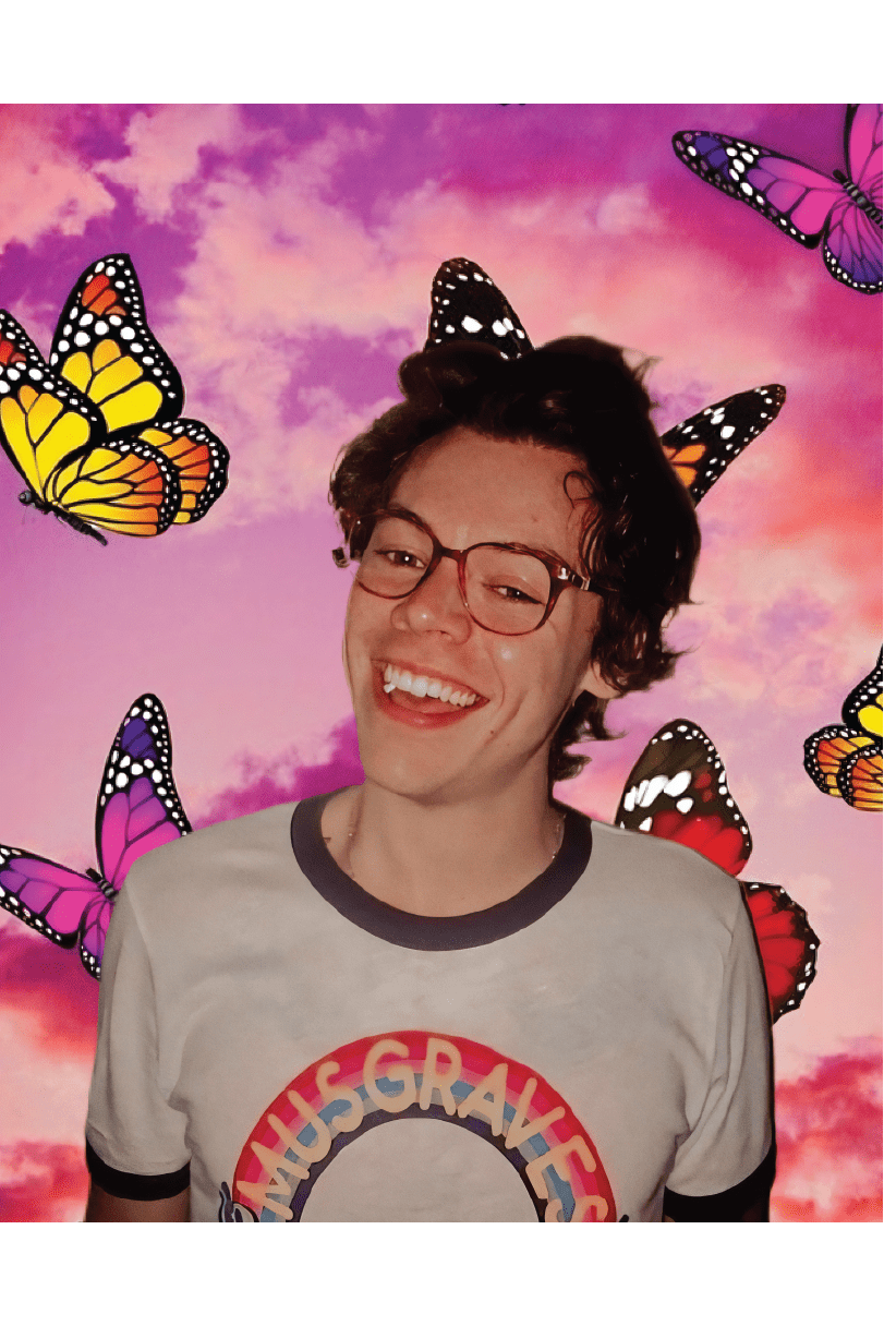 HARRY STYLES BUTTERFLY POSTER - PosterFi