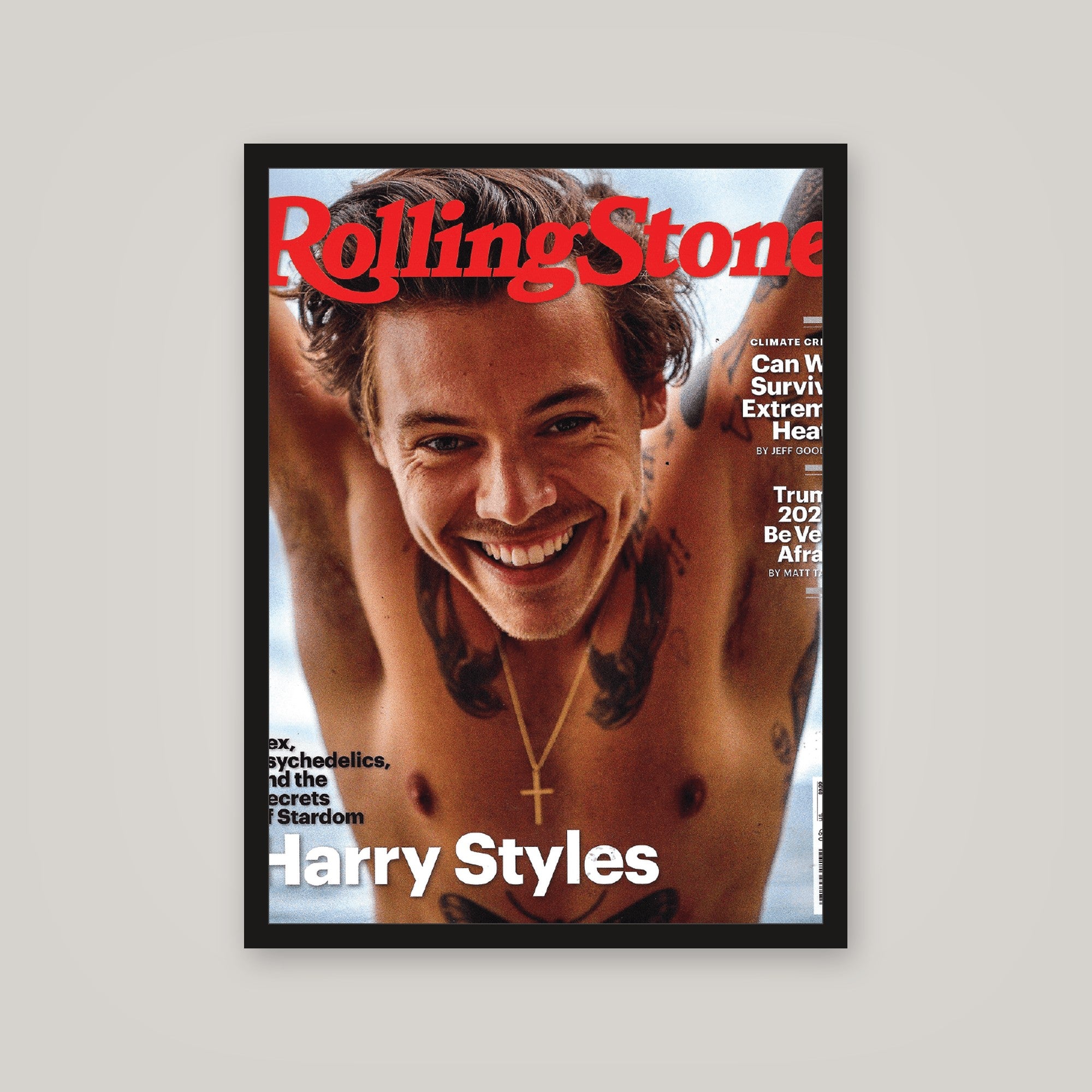 [auto-mockup] HARRY STYLES POSTER - 18 x 24in.