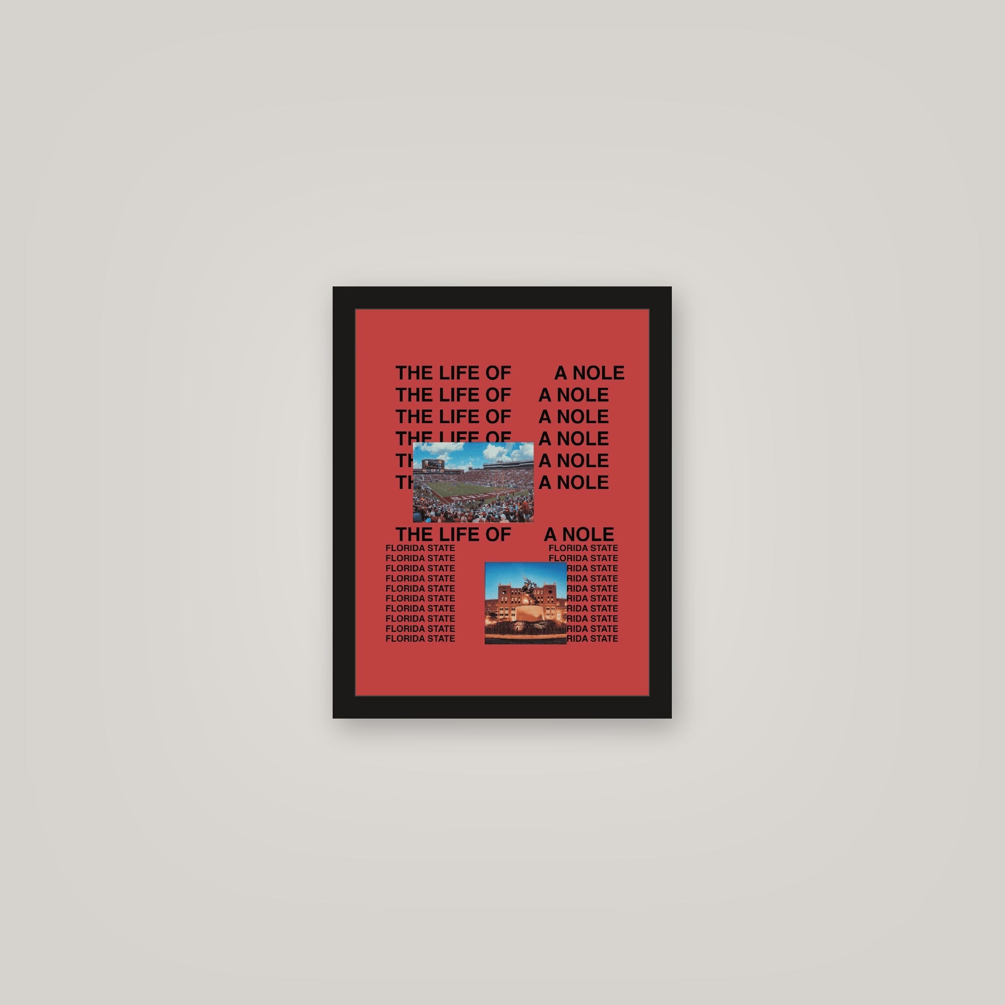 [auto-mockup] LIFE OF NOLE POSTER - 11 x 14in.