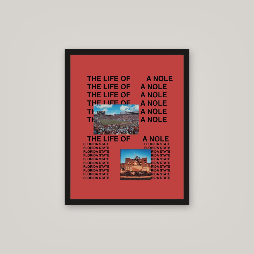 [auto-mockup] LIFE OF NOLE POSTER - 16 x 20in.