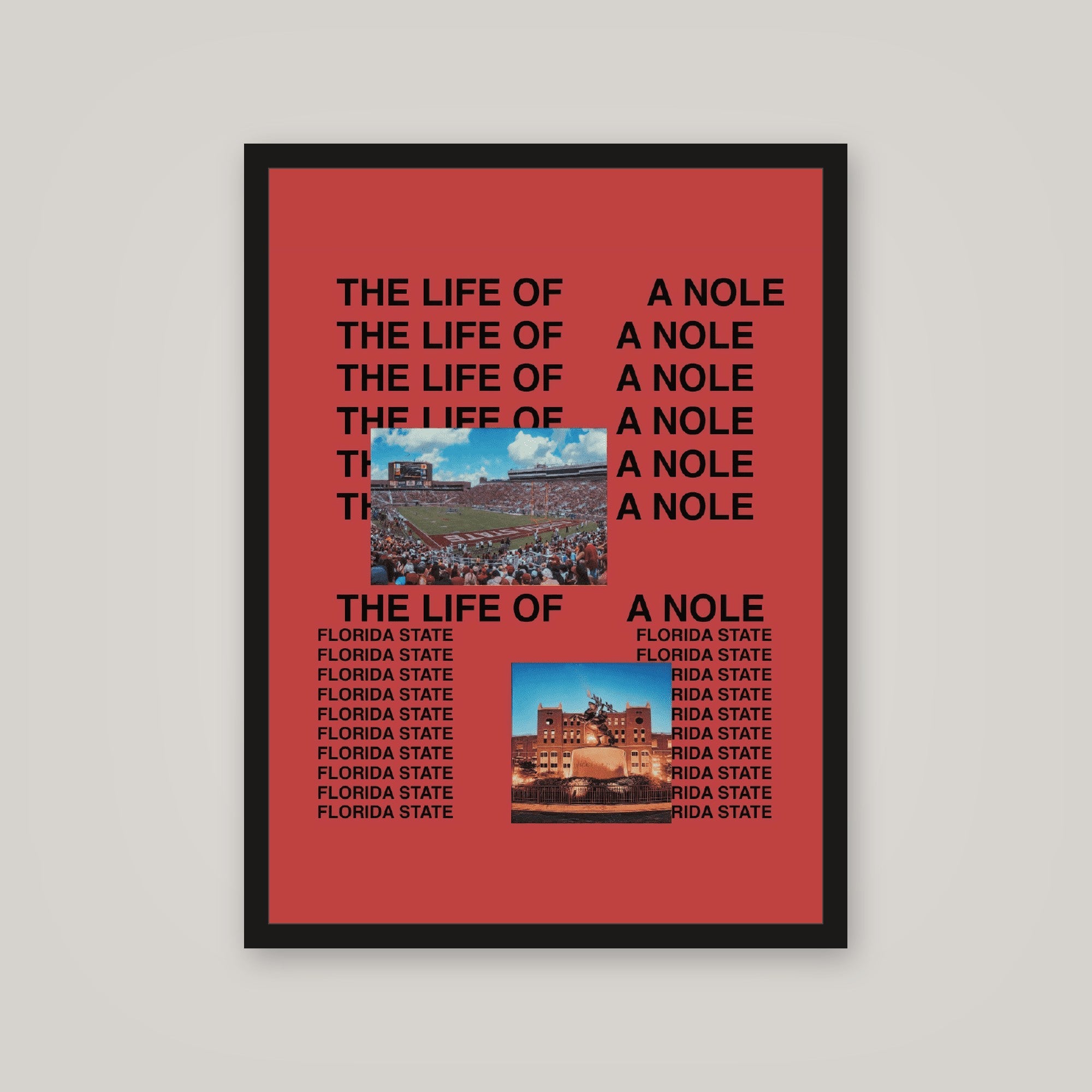 [auto-mockup] LIFE OF NOLE POSTER - 18 x 24in.