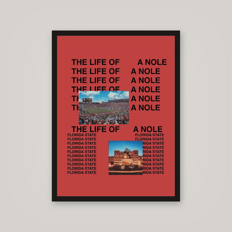 [auto-mockup] LIFE OF NOLE POSTER - 18 x 24in.