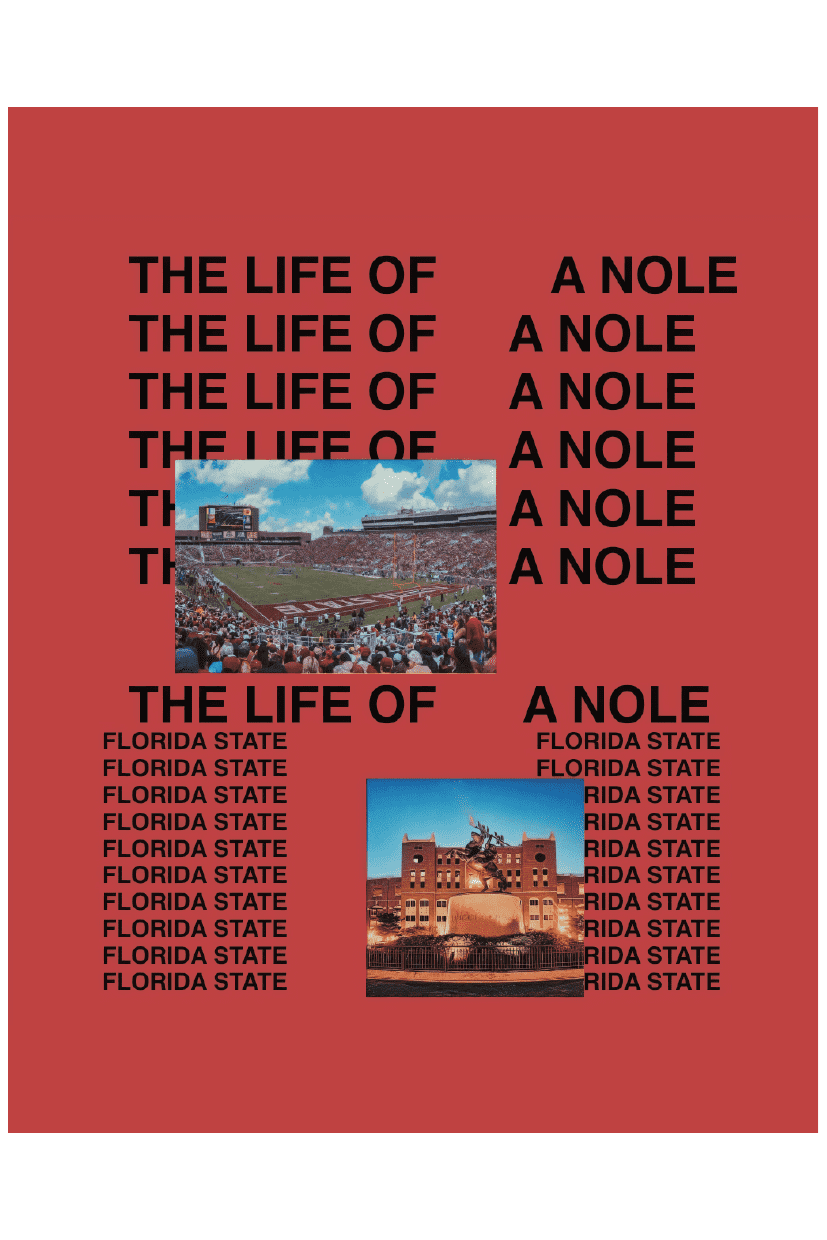 LIFE OF NOLE POSTER - PosterFi