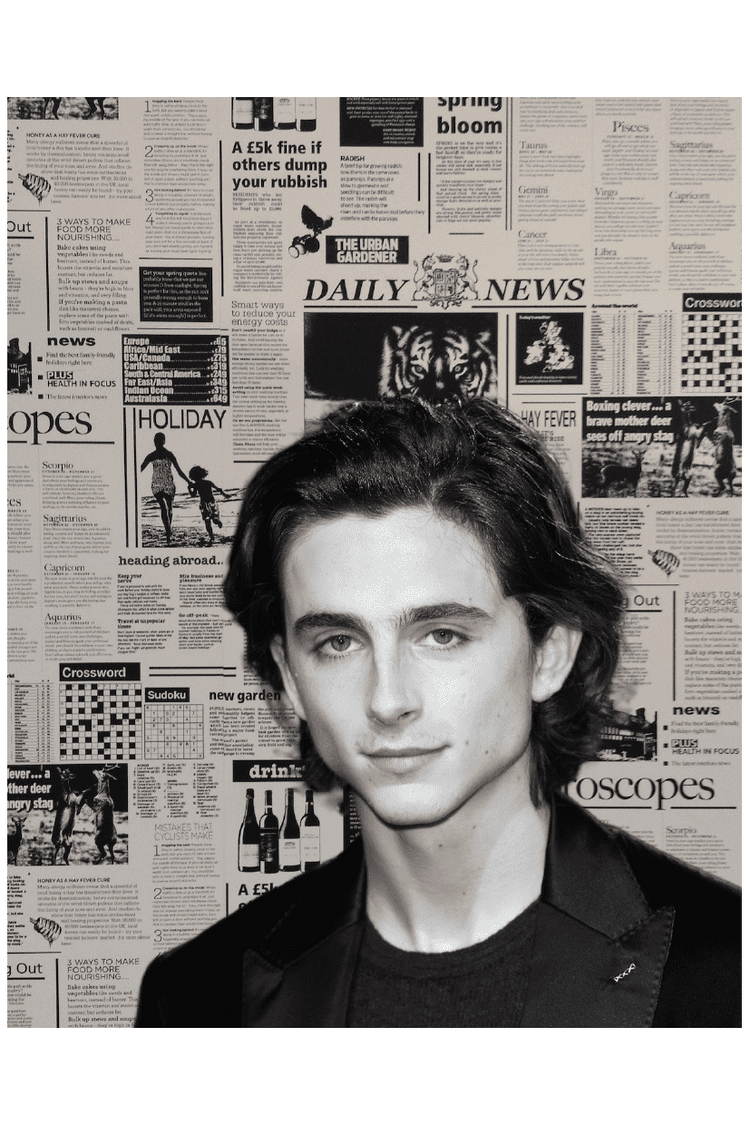 NEWSPAPER TIMMY POSTER - PosterFi