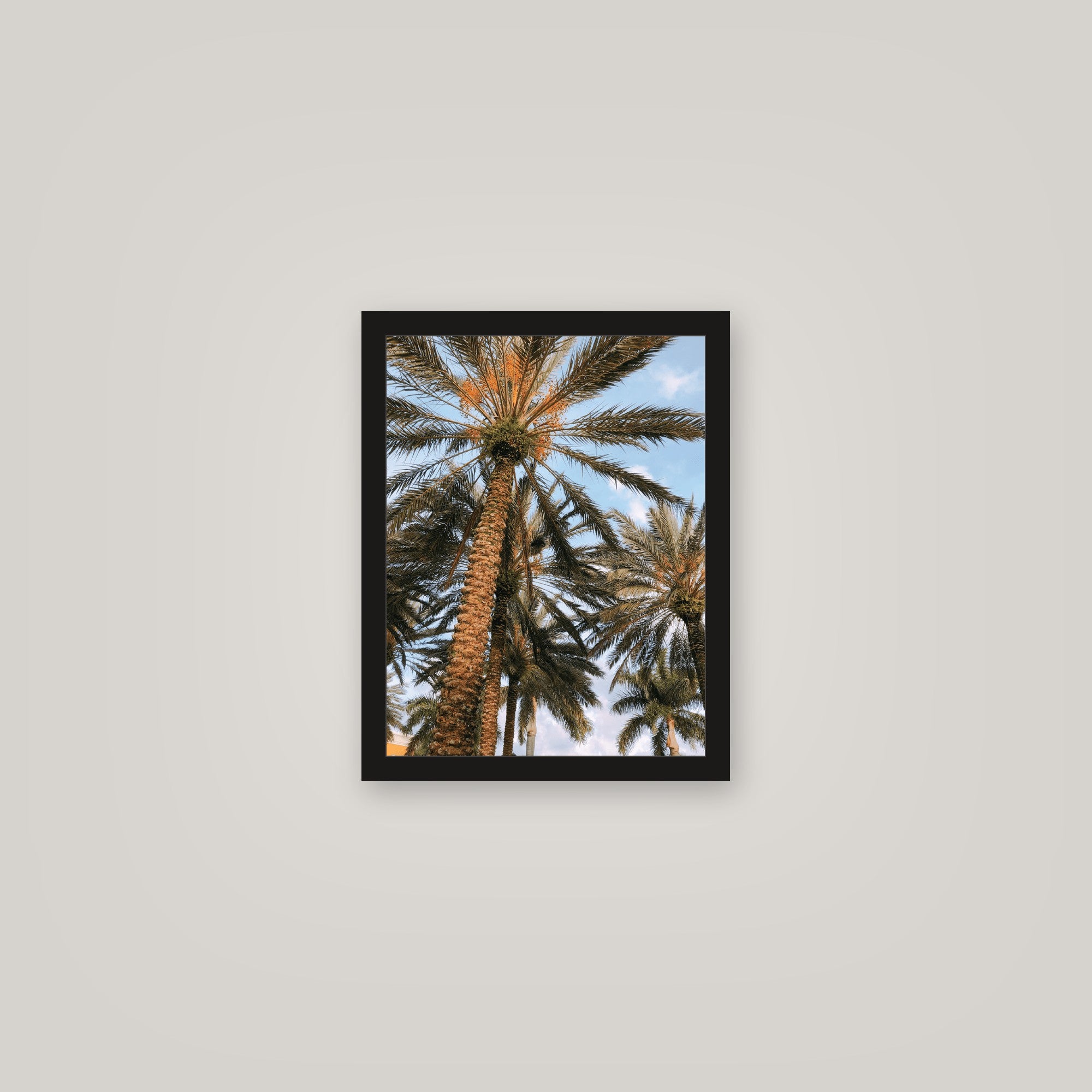 [auto-mockup] PALM POSTER - 11 x 14in.