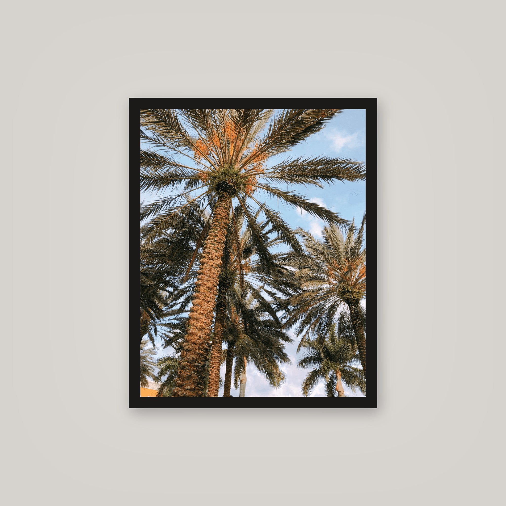 [auto-mockup] PALM POSTER - 16 x 20in.