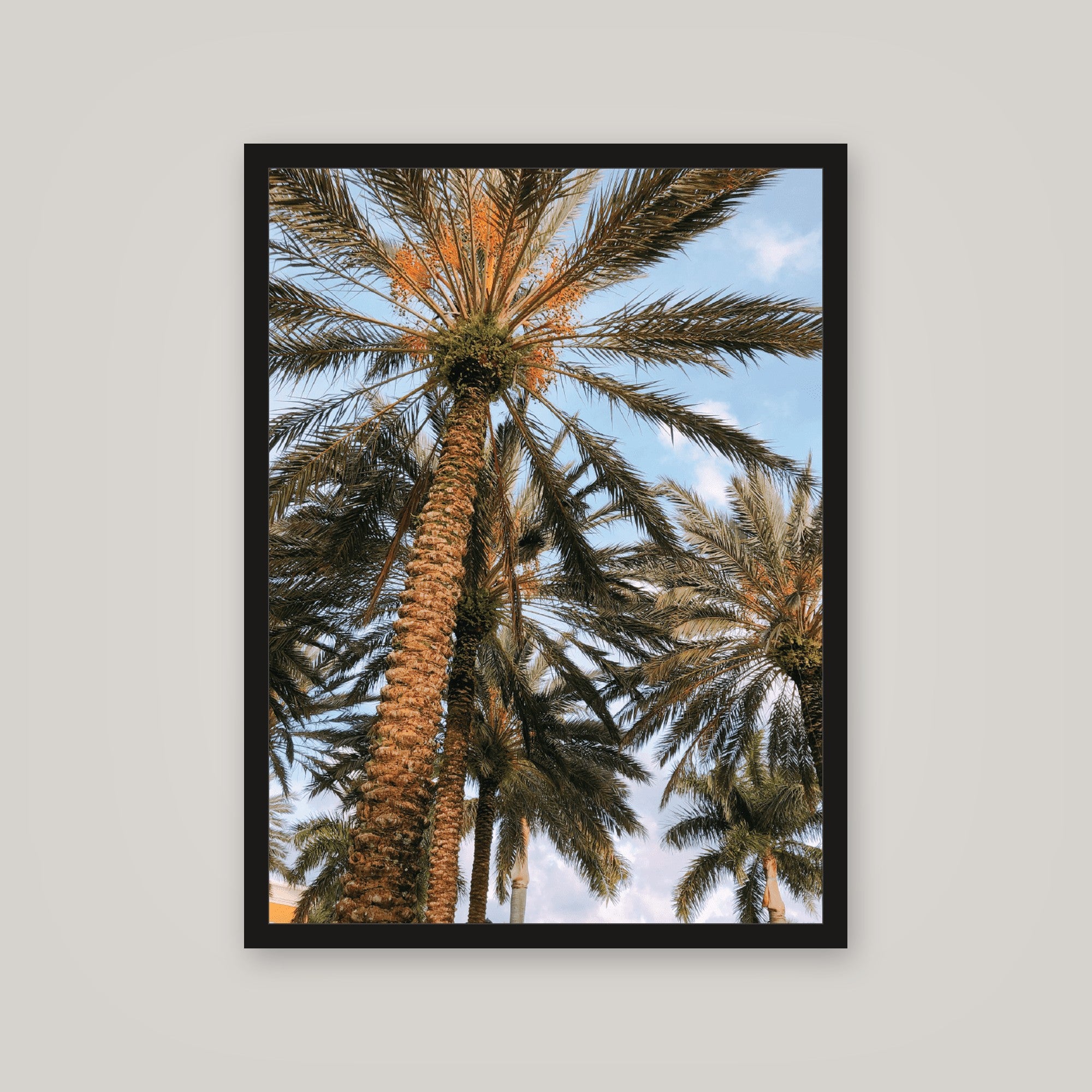 [auto-mockup] PALM POSTER - 18 x 24in.