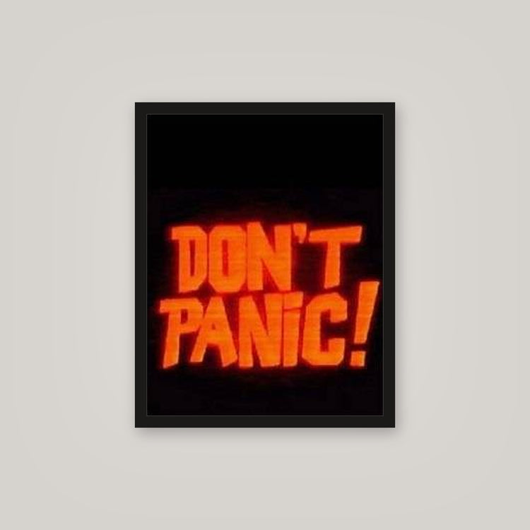 [auto-mockup] PANIC POSTER - 16 x 20in.