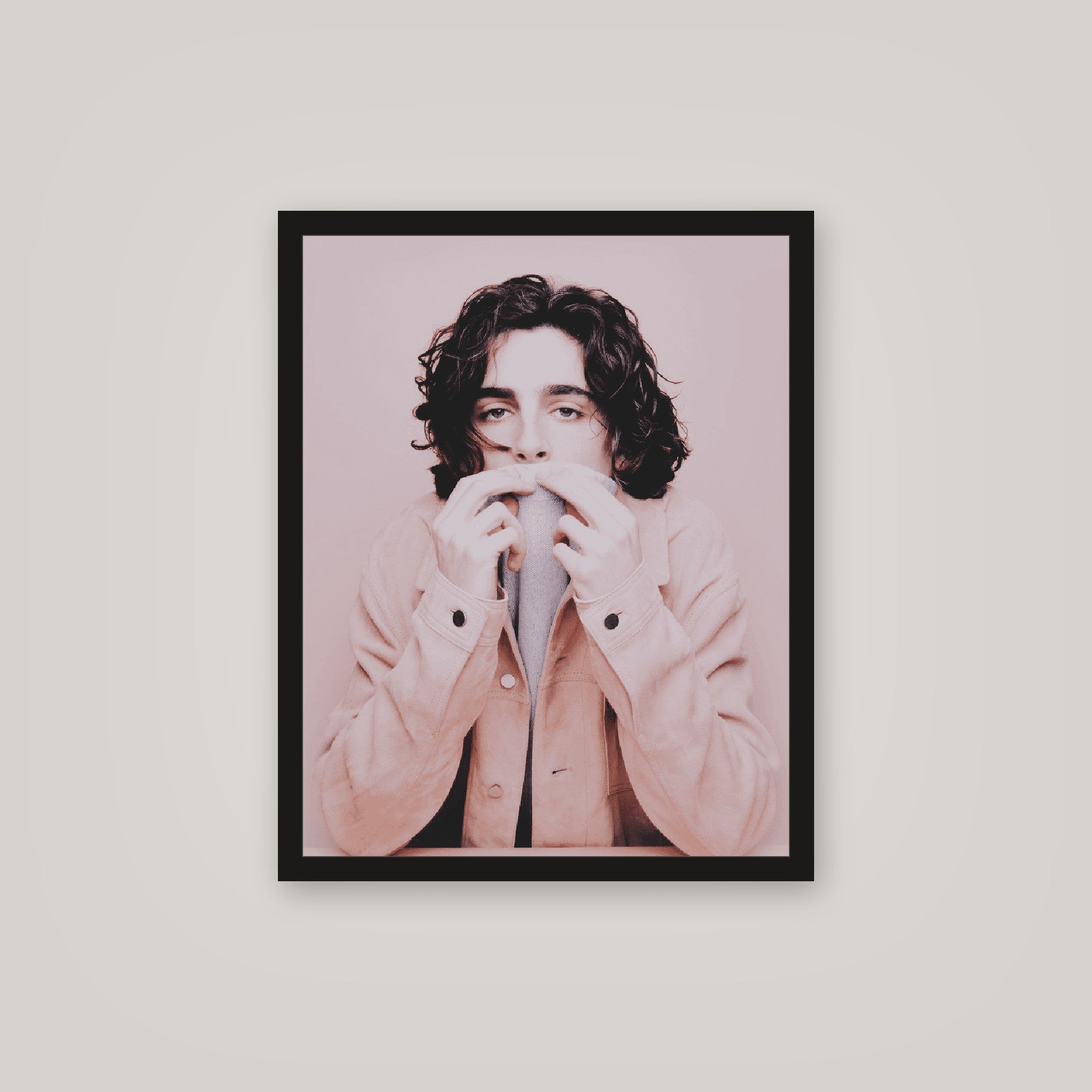 [auto-mockup] PINK TIMMY POSTER - 16 x 20in.