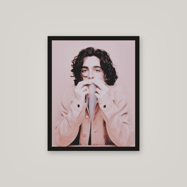 [auto-mockup] PINK TIMMY POSTER - 16 x 20in.