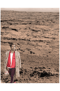 AMERICAN ROCKY POSTER
