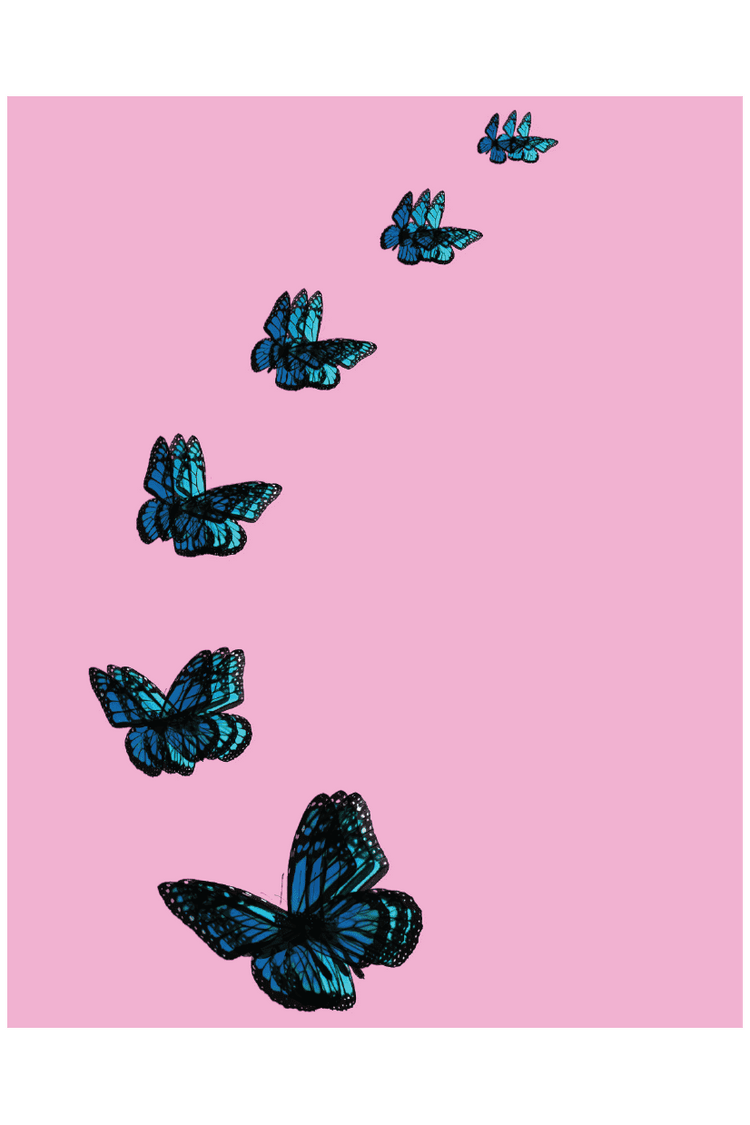 SIX FLY POSTER - PosterFi