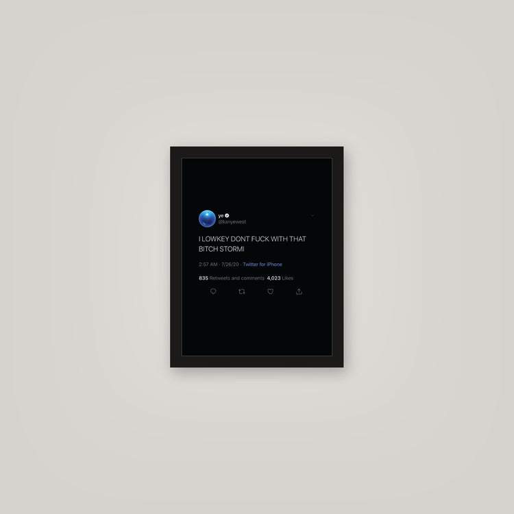 [auto-mockup] STORMI TWEET POSTER - 11 x 14in.