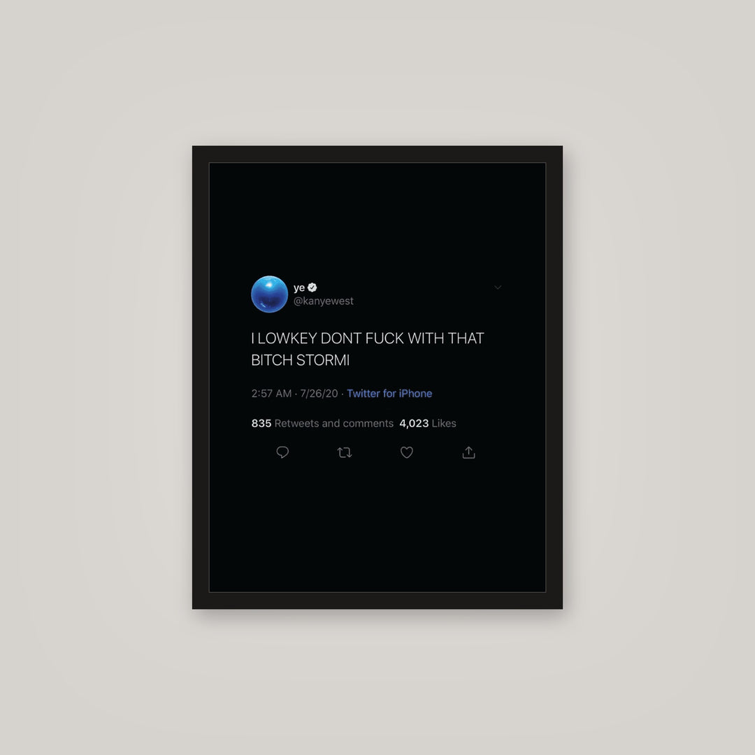 [auto-mockup] STORMI TWEET POSTER - 16 x 20in.