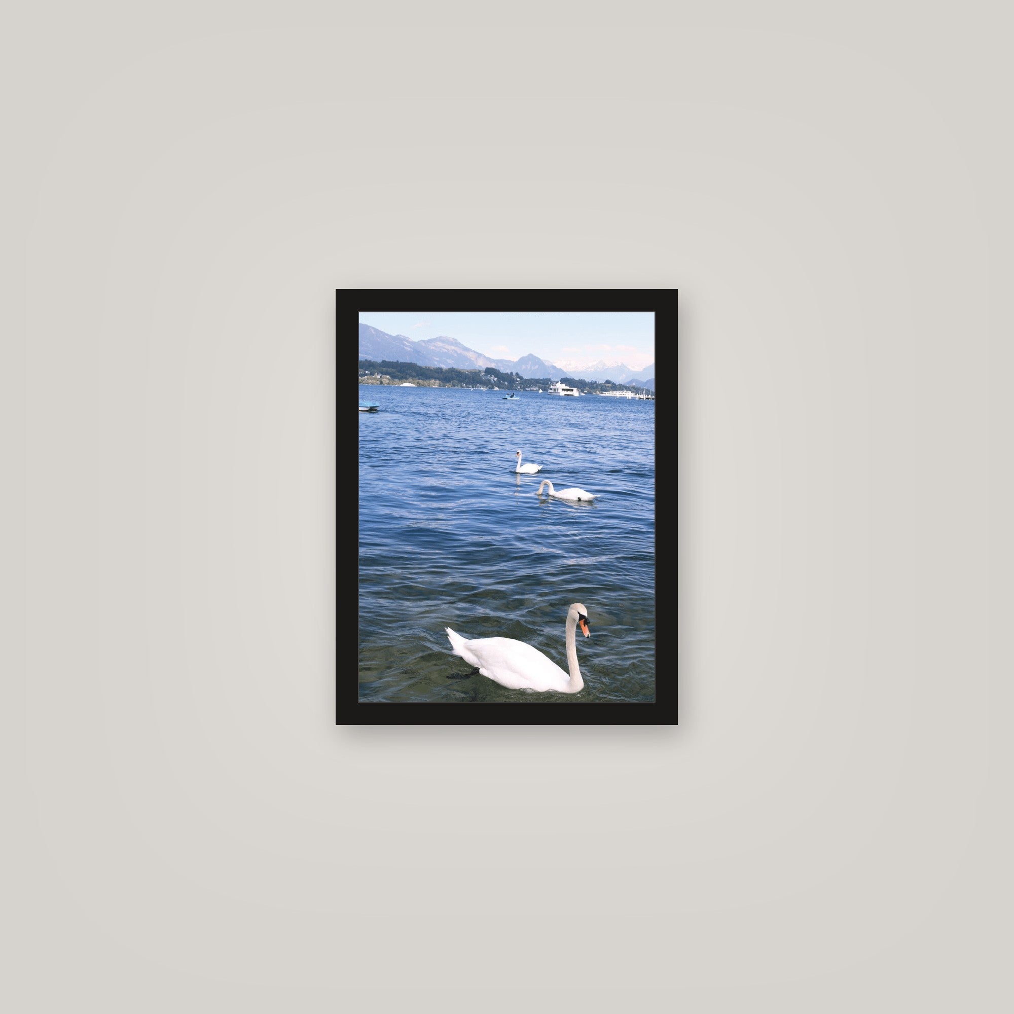 [auto-mockup] SWAN WATER POSTER - 11 x 14in.