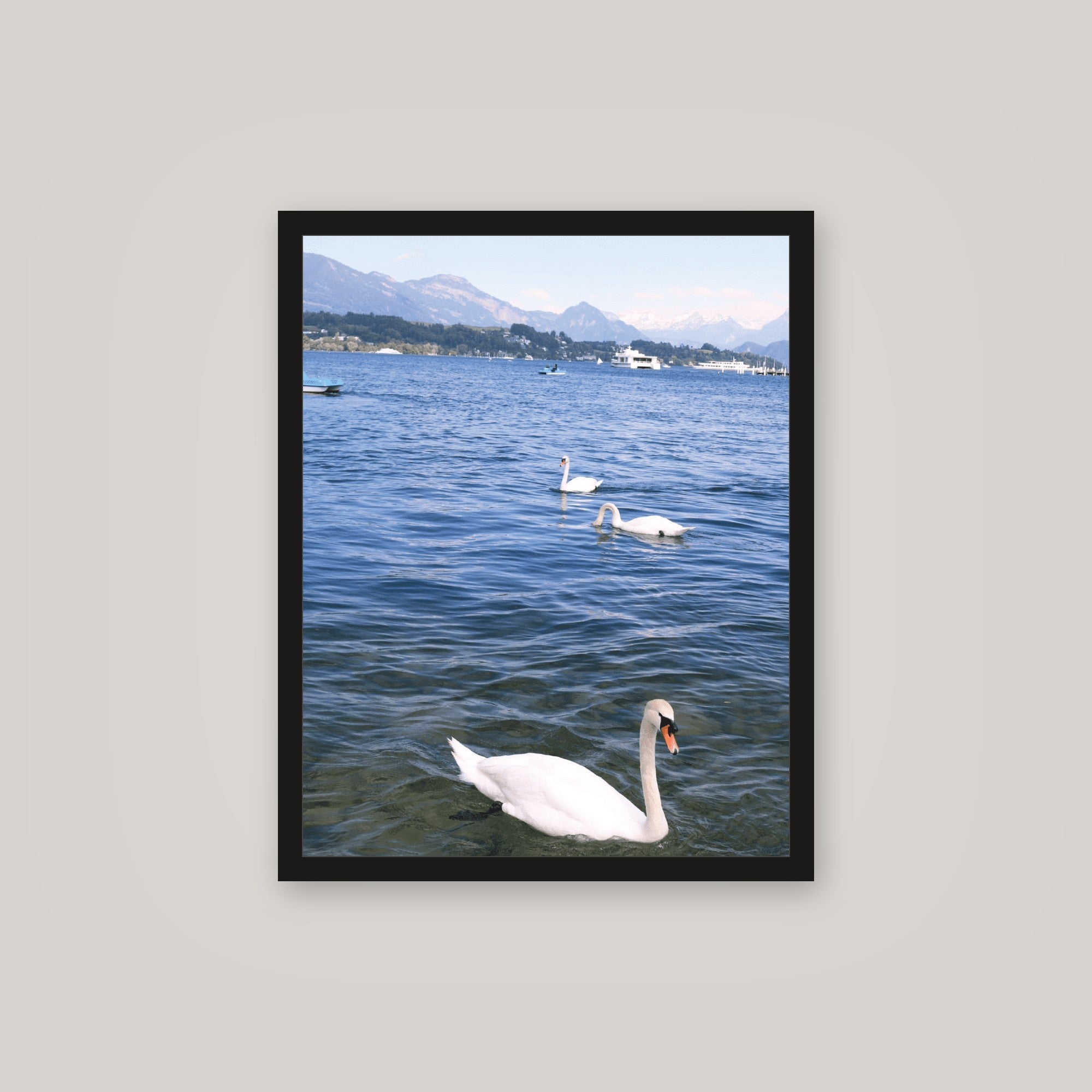 [auto-mockup] SWAN WATER POSTER - 16 x 20in.