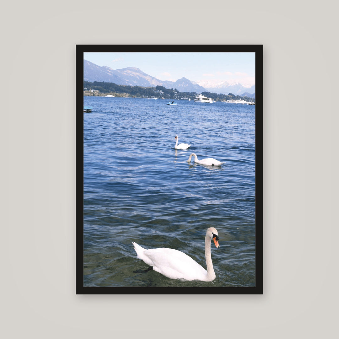 [auto-mockup] SWAN WATER POSTER - 18 x 24in.
