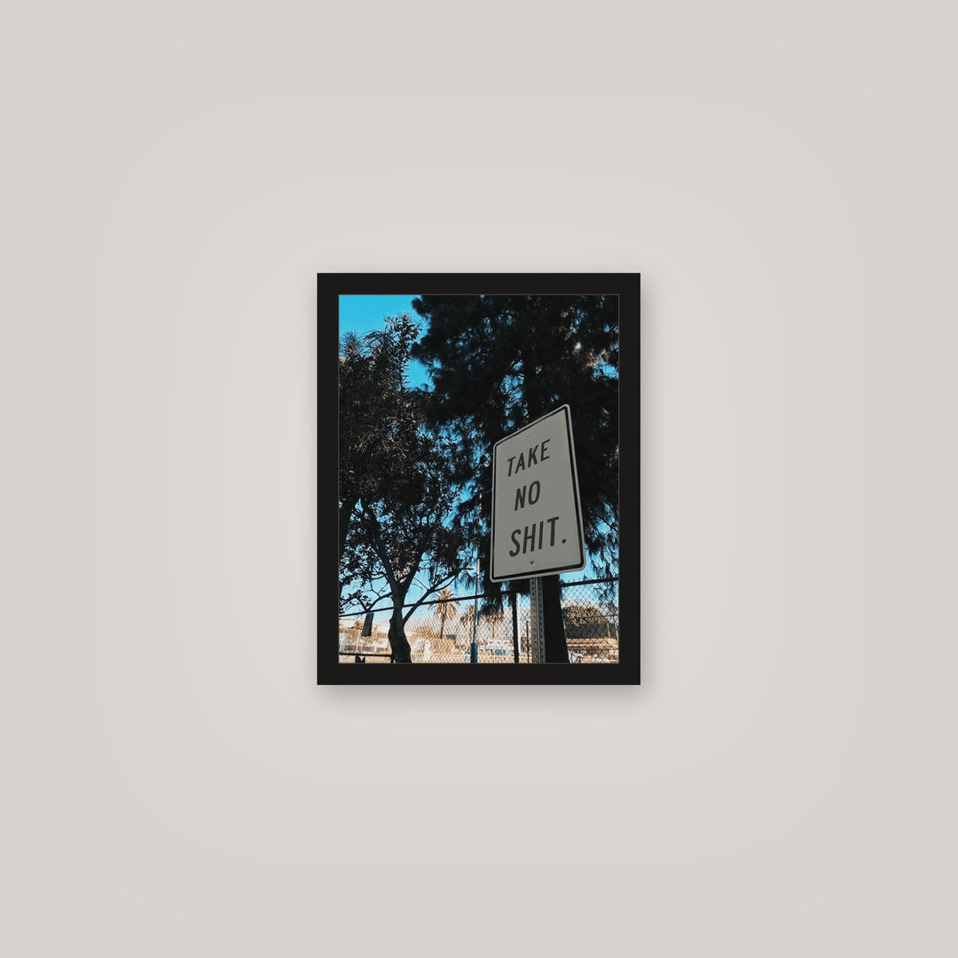 [auto-mockup] TAKE NO SHIT POSTER - 11 x 14in.