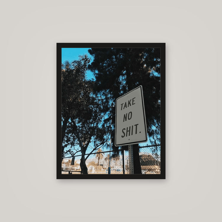 [auto-mockup] TAKE NO SHIT POSTER - 16 x 20in.