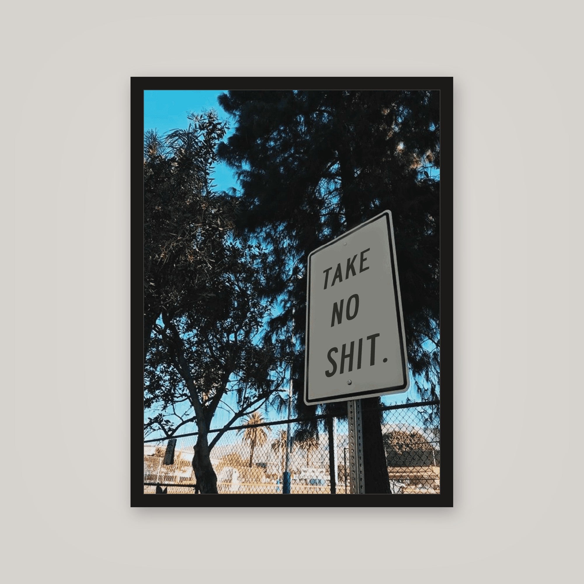 [auto-mockup] TAKE NO SHIT POSTER - 18 x 24in.