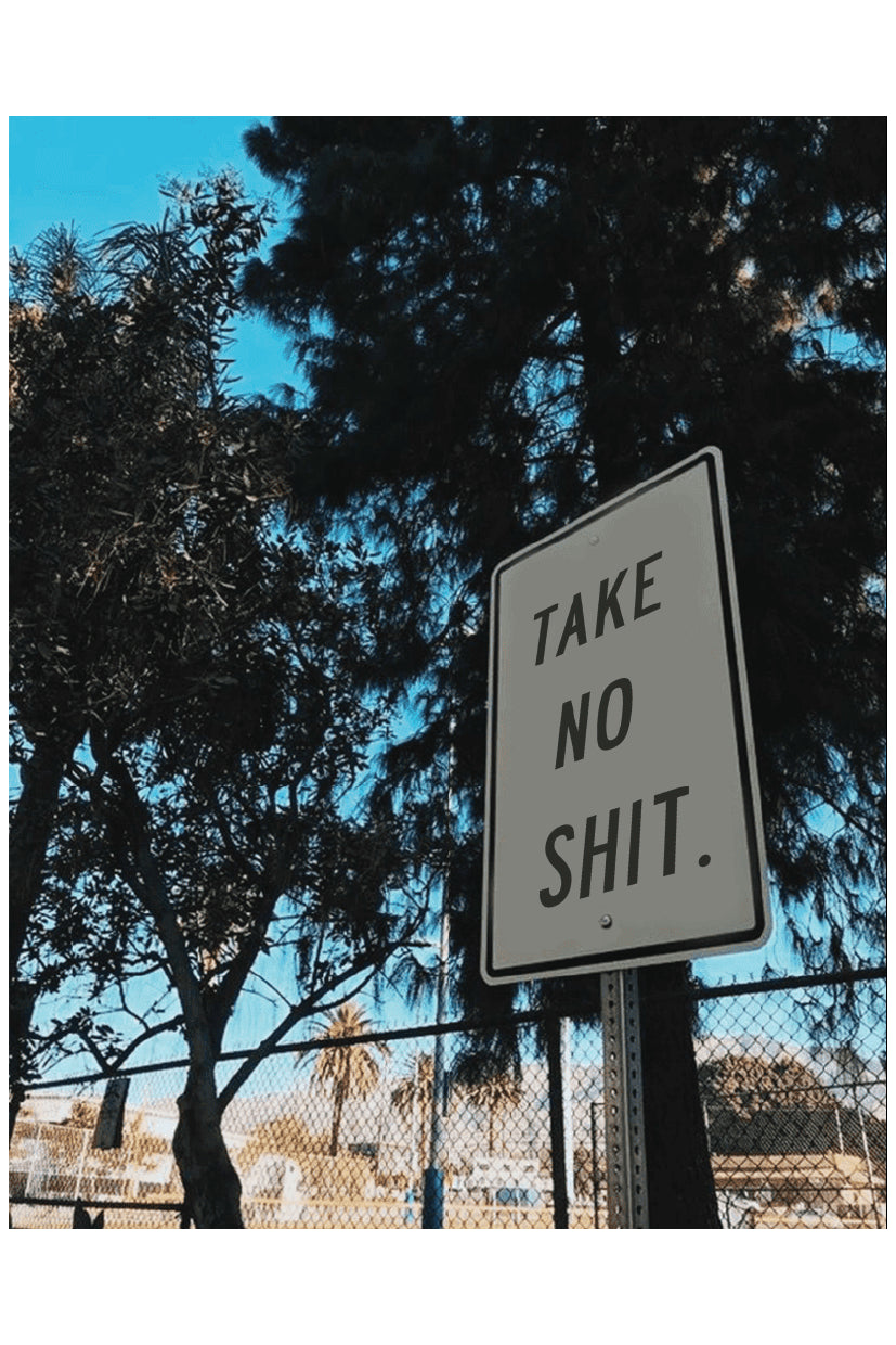 TAKE NO SHIT POSTER - PosterFi