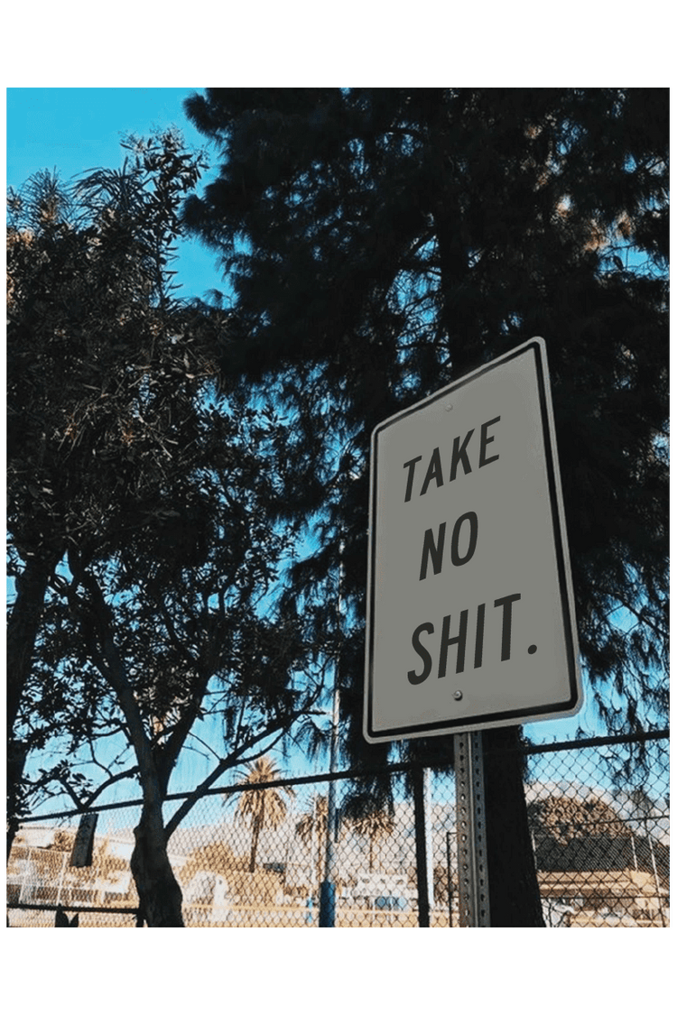 TAKE NO SHIT POSTER - PosterFi