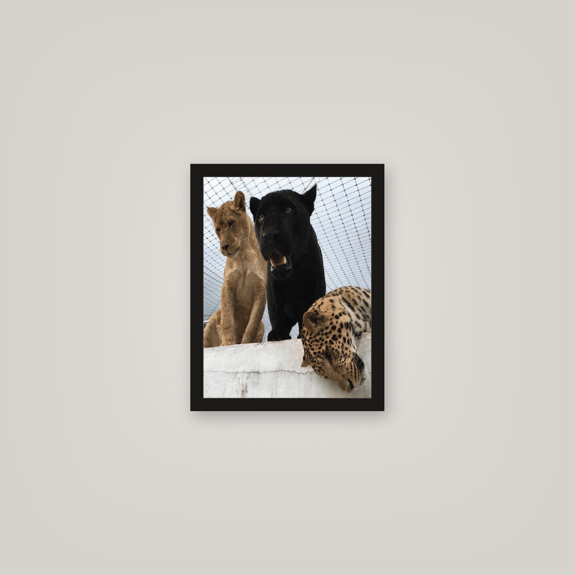 [auto-mockup] TIGER KING POSTER - 11 x 14in.