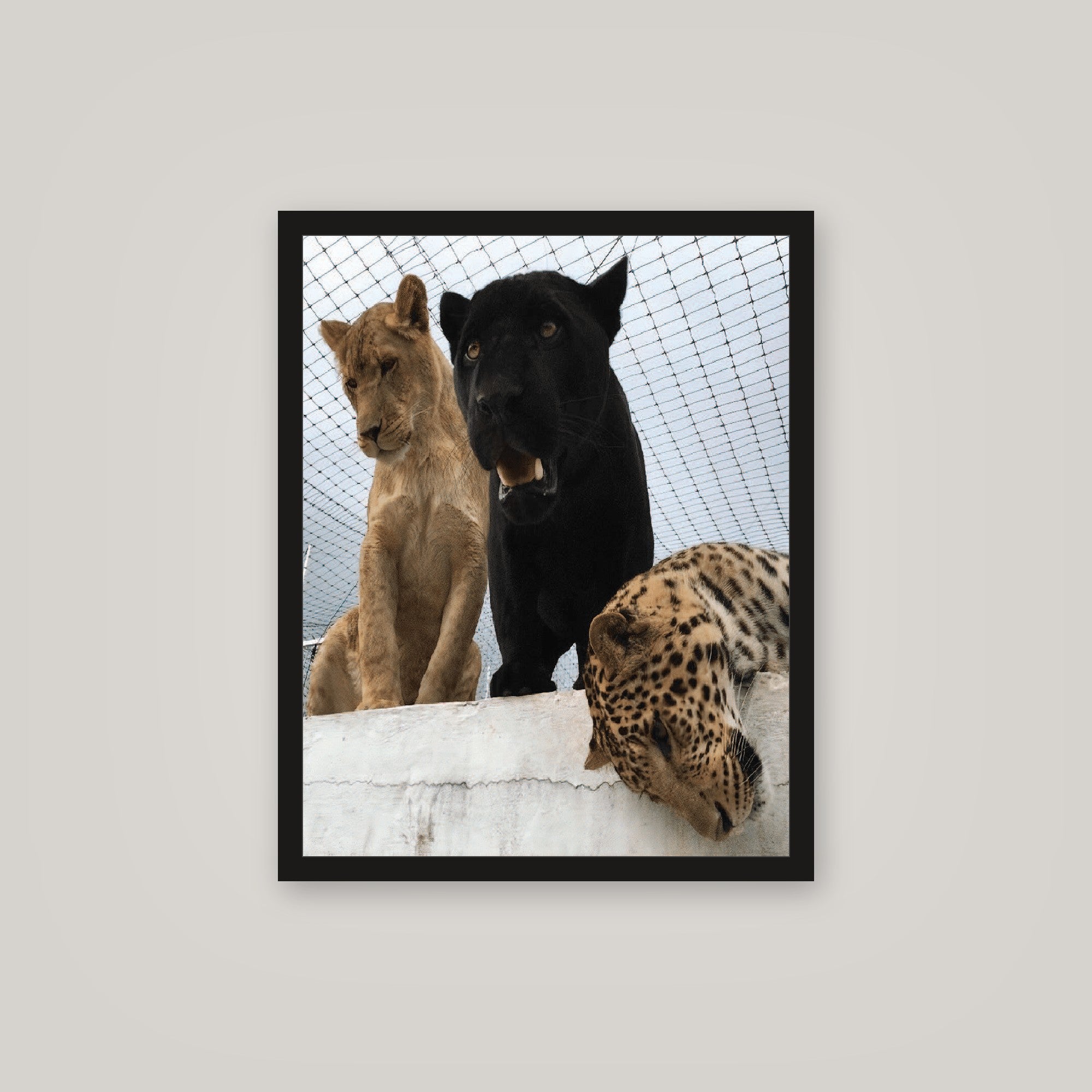 [auto-mockup] TIGER KING POSTER - 16 x 20in.
