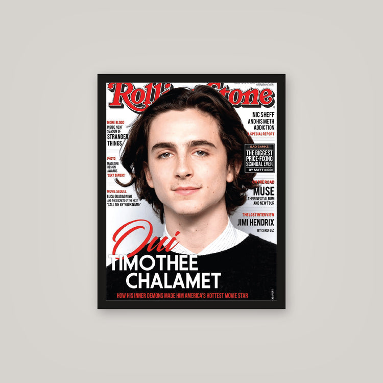 [auto-mockup] TIMOTHY CHALAMET POSTER - 16 x 20in.